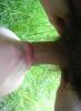 tief rein 4