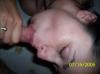 oralserie4