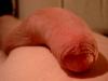 Mein Penis 08