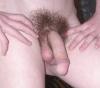 geiler schwanz