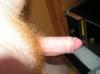 penis001