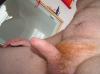 penis10 penis10