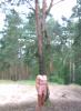 letzte Woche 2