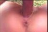 outdoor 8