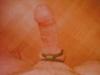 geiler schwanz sucht....