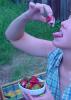 erdbeeren mit sahne 5